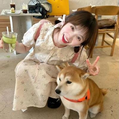 紫苑草